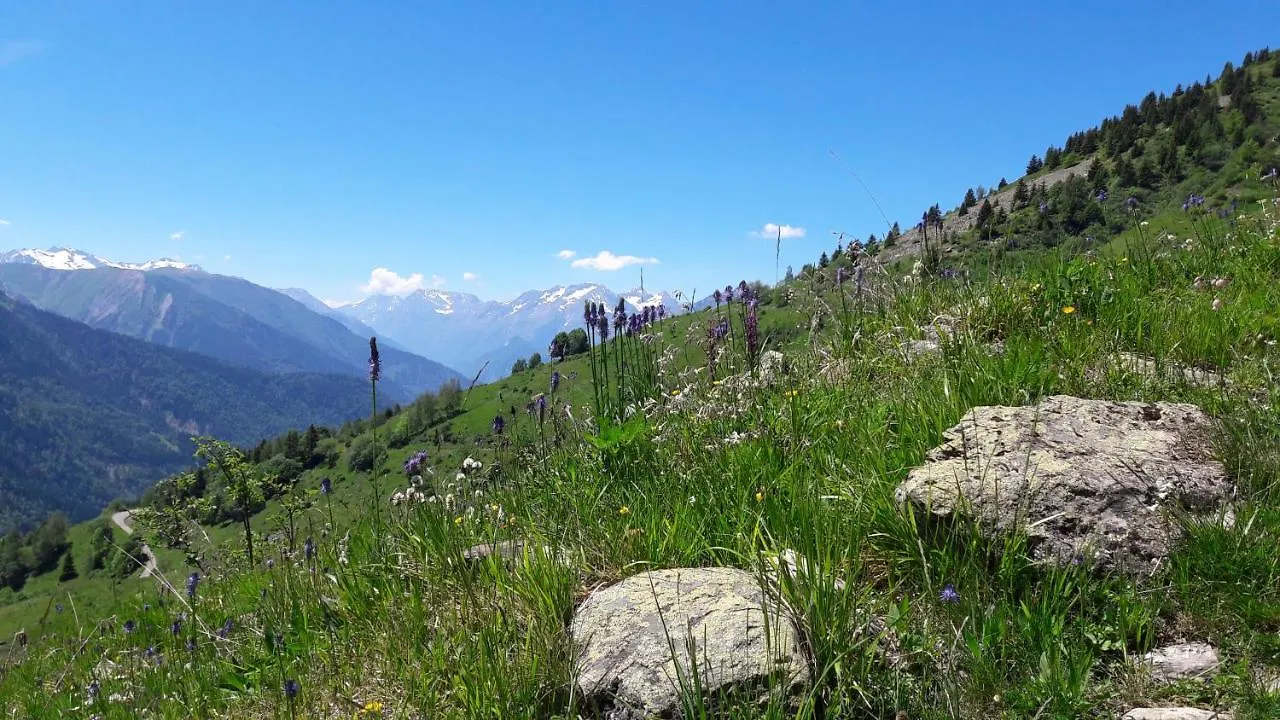 Chalet Solneige Vaujany Bed & Breakfast